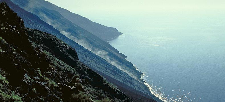 Avanti